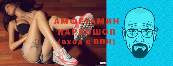 гашик Алексеевка