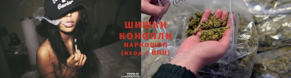 стаф Аркадак