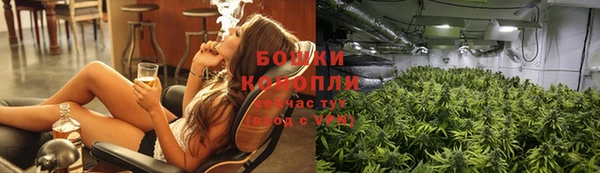 гашик Алексеевка